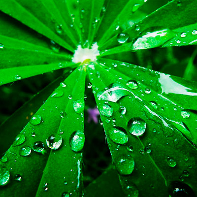 CC在线压力测试