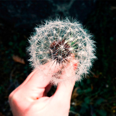 手机版ddos攻击器